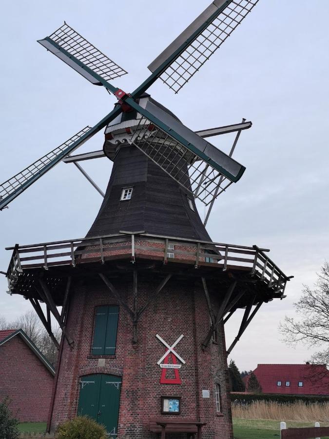 Kleinaberfein An Der Nordseekueste Schweindorf Eksteriør bilde